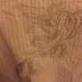 Smart Mexx Ladies Jacket size 12 Image 5