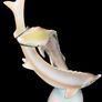 Elegant, rare great sturgeon pair fine porcelain Image 2