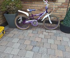 Ignite Bliss 20" children's bike