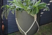 large hanging flower pot and hanger not included in the price