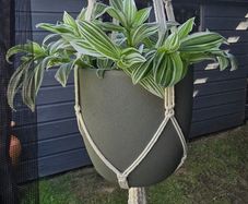 large hanging flower pot and hanger not included in the price