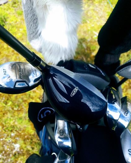 Set of Ladies Golf Clubs