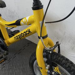 Pedal and stabiliser bike