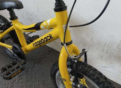 Pedal and stabiliser bike