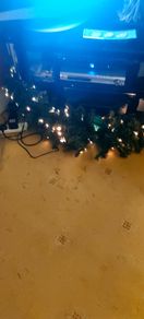 Fibre  Optic  Christmas  Garland