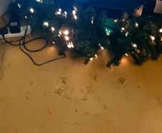 Fibre  Optic  Christmas  Garland