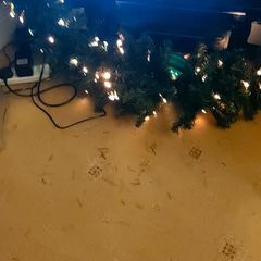 Fibre  Optic  Christmas  Garland