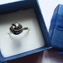 Ring Image 2