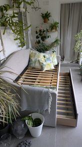 Day Bed