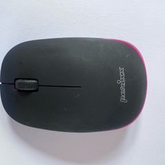 mouse