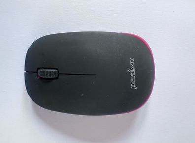mouse