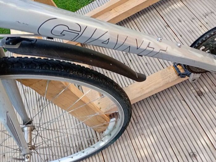 adults bike
