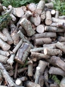 fire woods