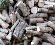 fire woods