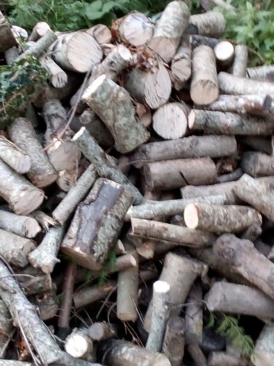 fire woods