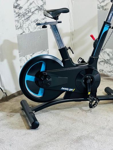 Large 20kg Wheel Bodymax Exercise Bike Life Time