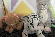 teddys