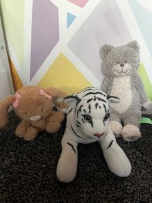 teddys