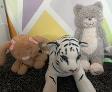 teddys