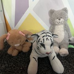 teddys