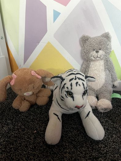 teddys