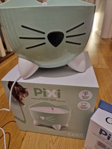 Pixi cat drinking Fontaine