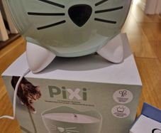 Pixi cat drinking Fontaine