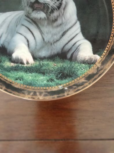 Tiger plate