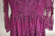 Burgundy Lace Skater Dress