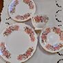 Colclough "Wayside" tea and dinnerware Image 7