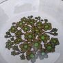 Arklow pottery bowl, Leitrim pattern Arklow Image 2