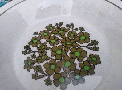 Arklow pottery bowl, Leitrim pattern Arklow