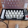 Vintage Carmen Heated Rollers / Hair Stiling Conditioning Curl/1970s Image 2