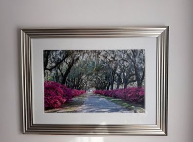 Glass framed picture