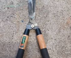 garden shears