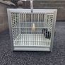aluminium bird Image 2