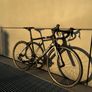 Wilier Triestina GTR Team Carbon Race Road Bike Image 2