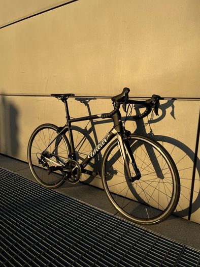 Wilier Triestina GTR Team Carbon Race Road Bike