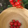 Tomato 'Gardeners Delight' Irish Seed Image 2