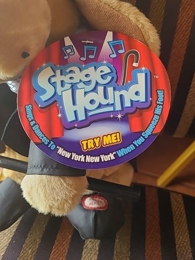 Stage hound singing dog