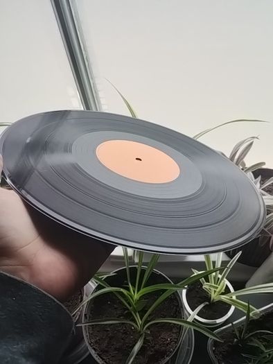 Bit of vinyl+more