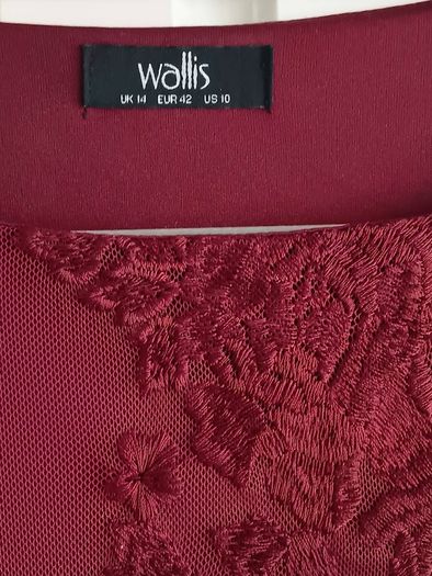 Wallis Embroidered Lace Dress