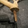 Deer Antlers Image 5