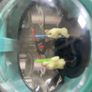 Vintage Star Wars Planet Naboo Mechanical Mini Action Figure Diorama Applause Image 4