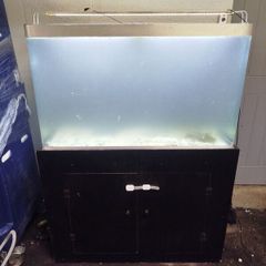 260 litre