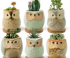 Succulent Pots, 6CM Owl Planter Owl Pot, Small Pots for Plants Cute Small Planter with Accessories, Great for Home Decor, Set of 6