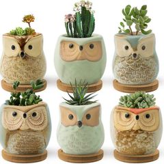 Succulent Pots, 6CM Owl Planter Owl Pot, Small Pots for Plants Cute Small Planter with Accessories, Great for Home Decor, Set of 6