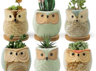 Succulent Pots, 6CM Owl Planter Owl Pot, Small Pots for Plants Cute Small Planter with Accessories, Great for Home Decor, Set of 6