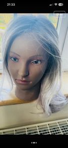 Blond with lilac highlights Ellen wille