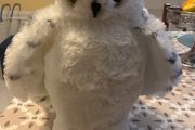 Harry Potter Hedwig Fluffy Teddy